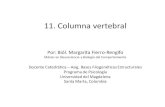 11. PDF Columna Vertebral