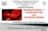 Estructura y Función de la Hemoglobina