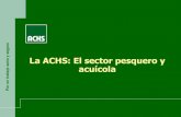 ACHS SectorPesquero y Acuicola