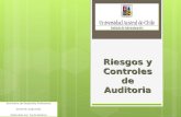 Riesgos y Controles de Auditoria
