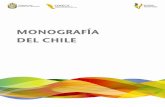 MONOGRAFIA CHILE2011
