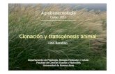 2011_23 Clonacion y Transgenesis Animal