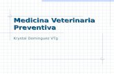 PROFA. K. DOMINGUEZ AVET 110 14. Medicina Veterinaria Preventiva.ppt