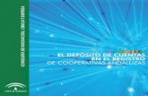 Deposito de Cuentas en El Registro de Cooperativas Andaluzas