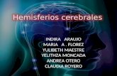 HEMISFERIOS CEREBRALES (1)