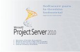 Project Server Informe
