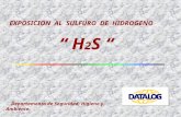 Presentacion H2S 2