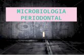 Microbiologia Periodontal