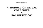 Proyecto Final Sal Corrediza