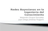 Redes Bayesianas en la Ingeniería del Conocimiento (expo)