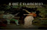 O que é flamenco?