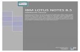 Guia de usuario de Lotus Notes 8.5