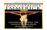 Tomo 11 - Amarga pasión de Nuestro Señor Jesucristo - Beata Ana Catalina Emmerick - Visiones y Revelaciones