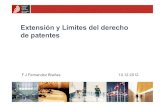 Extensión y límites del derecho de patentes