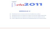 BETA2011 Modulo 3
