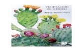 Vegetación de México - JERZY RZEDOWSKI (FBYdejatuloguap@,soyBiolog@)