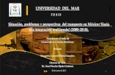 Situación problemas y perspectivas  del transporte en México Hacia una integración multimodal 2000-2010