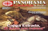 Panorama Politico de Oaxaca Web