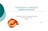 Placenta+y+Anexos+Embrionarios.ppt (1)