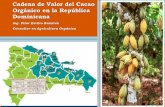 Cadena de valor del Cacao Orgánico en la RD