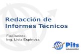 1. Informe Técnico Livia Espinoza