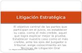 Litigacion Estrategica y Teoria Del Caso Miguel Sujo (2)