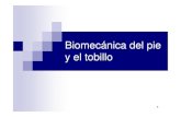 Biomecanica del pie y tobillo.pdf