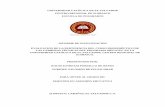 Tesis Maestria Sobre Pertinencia de Curso Propedeutico Graficos Final REV JAT (2)-1