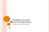 Tuberculosis Genitourinaria Compatible