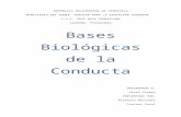Bases Biológicas de la Conducta trabajo