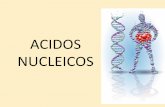 Acidos Nucleicos Biologia II