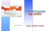 Manual de SQL Server 2008 Okey