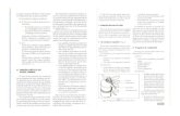 2 Nociones de biomecanica.pdf
