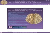 Revista - Descubriendo el Cerebro y la Mente - AE Nº 60