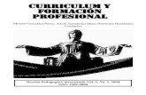 curriculum y formación profesional
