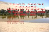 diapositivas huacachina -ecologia 1