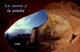La Cueva Y La Telaraña