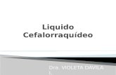 Liquidos LCR.pptx