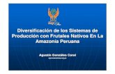 Sistema Produccion Frutas en Peru