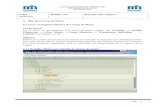 Manual de Usuario Del Proyecto de Implantacion de Sap R_3