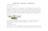 Santos Reyes Nopala
