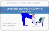 Auditoría Informática - conceptos.pdf
