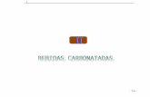 BEBIDAS CARBONATADAS.doc