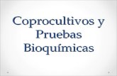 Coprocultivos y Pruebas Bioquímicas