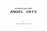 Dolina, Alejandro - Cronicas Del Angel Gris