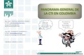 Panonara de CTI en Colombia.pdf