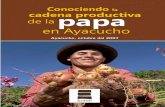 Conociendo la cadena productiva de la papa en Ayacucho