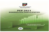 Documento de Diagnostico PEP 2021 Talleres 2012