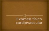 Propedeutica  Examen Cardiovascular