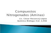 Compuestos Nitrogenados 23 (Aminas).ppt